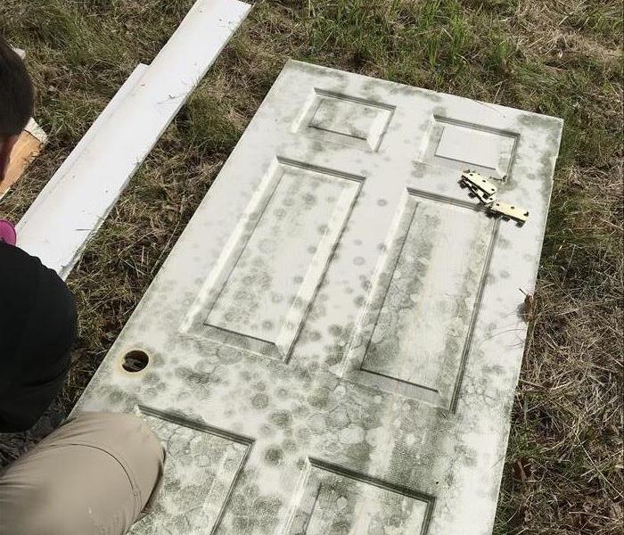 A SERVPRO of Missoula technician works on restoring a mold damaged door. 