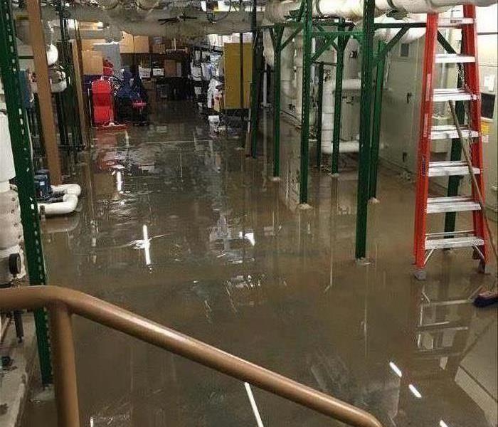 Water covering a basement floor. 